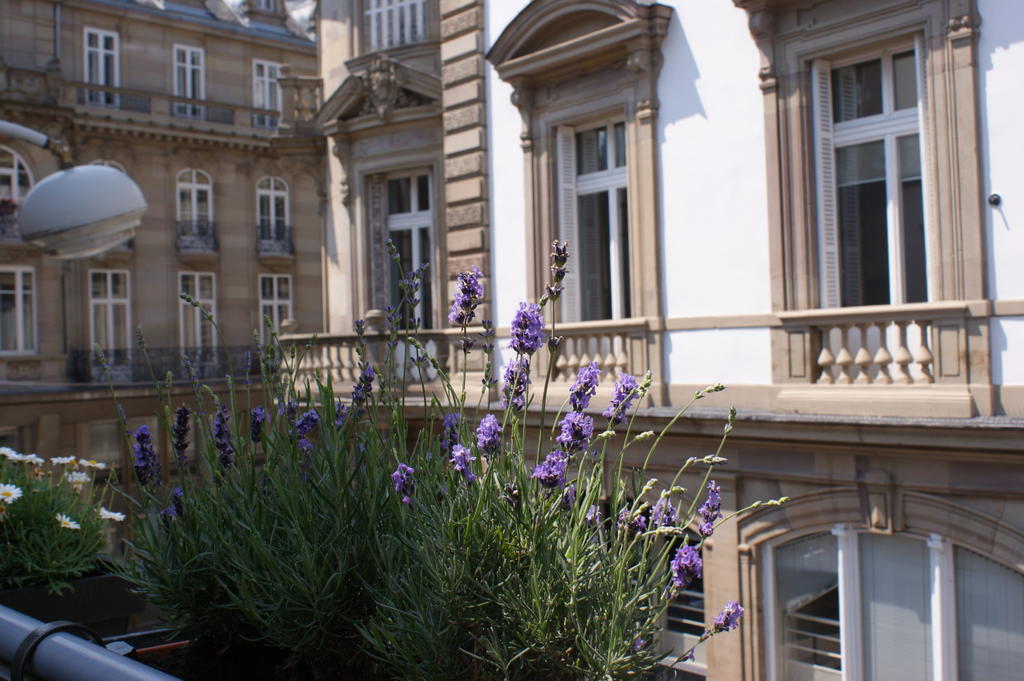 Studio de l'Hôtel de Ville Estrasburgo Exterior foto